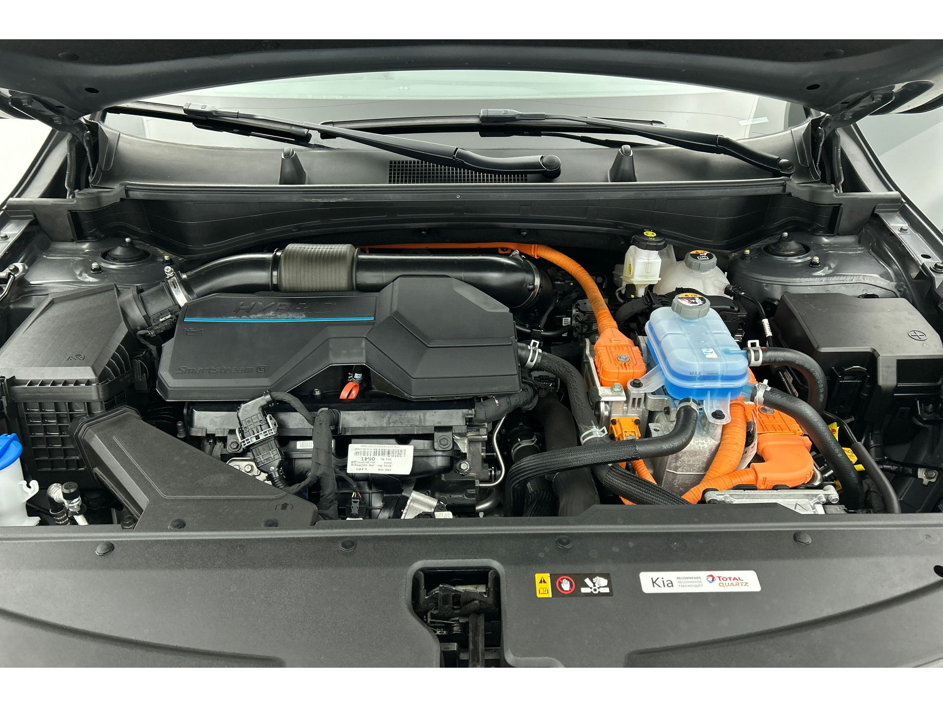 47481551-23.jpg