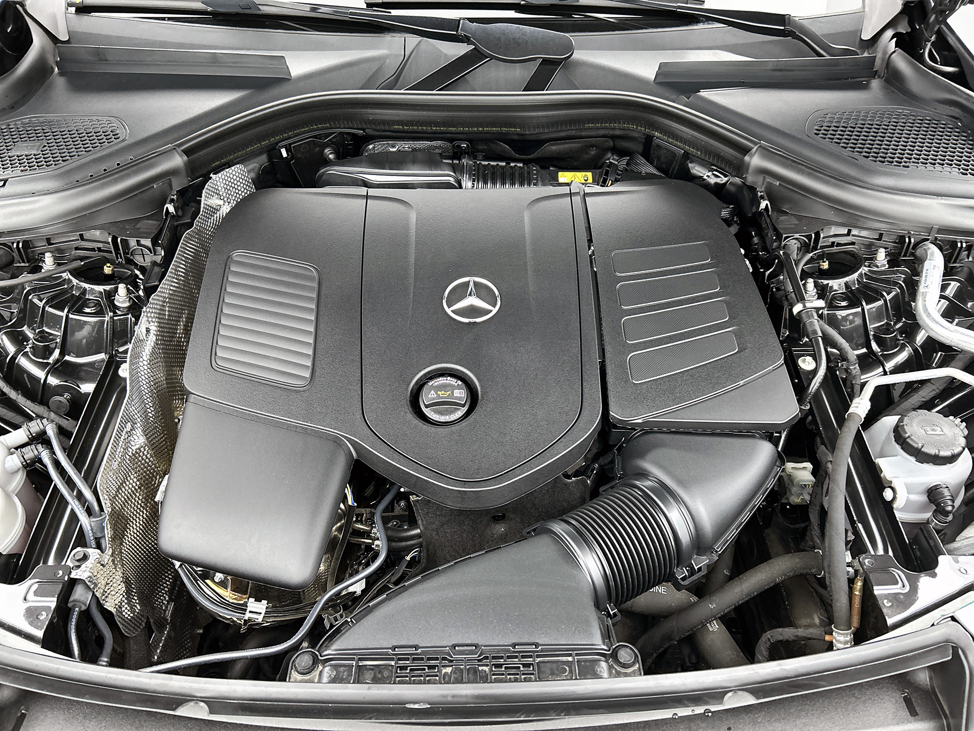 47481894-35.jpg